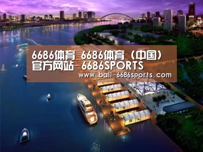 案例展示八