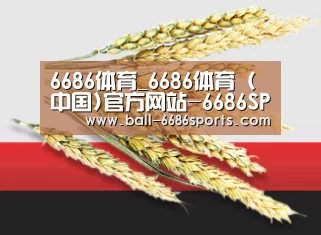 6686体育_6686体育 (中国)官方网站-6686SPORTS