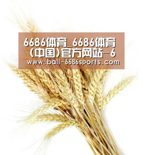 6686体育_6686体育 (中国)官方网站-6686SPORTS